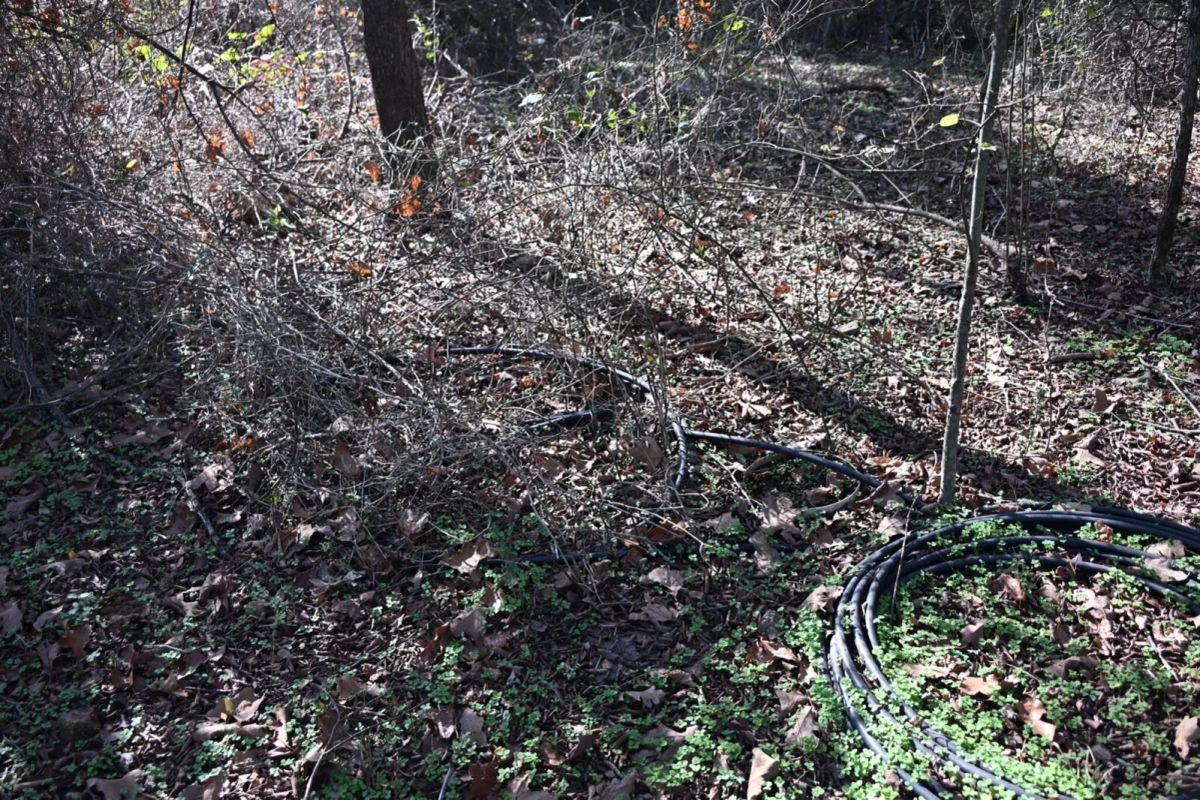 Decorative background for 1.97 Acres with Owner Financing and $1,695 Down in Franklin County, Arkansas image 29
