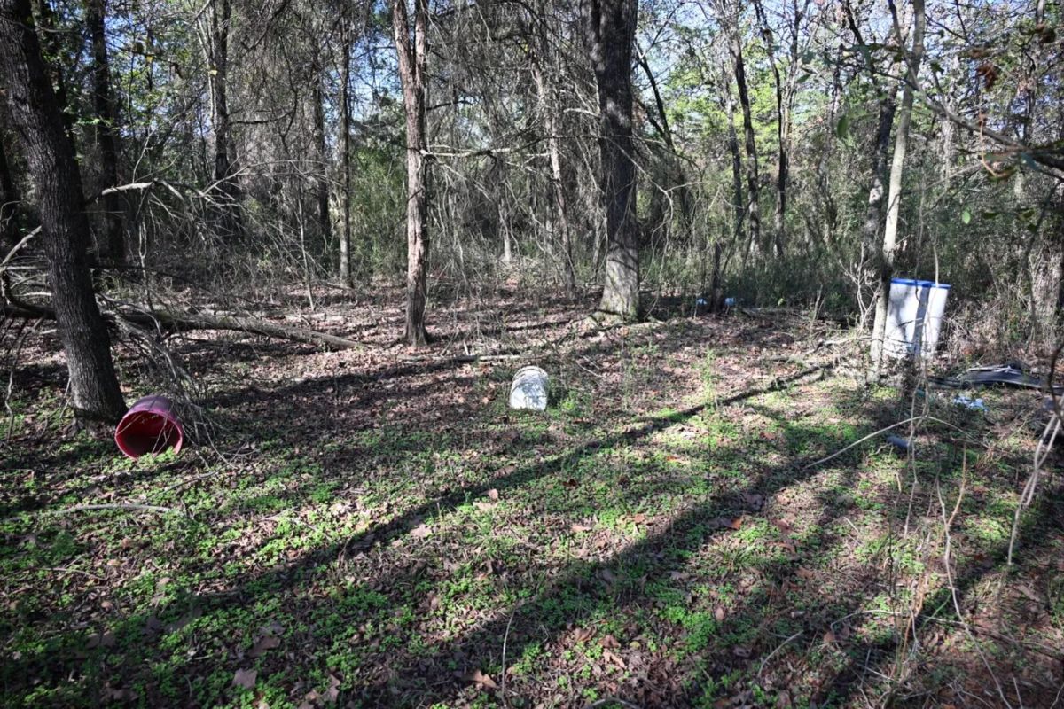 Decorative background for 1.97 Acres with Owner Financing and $1,695 Down in Franklin County, Arkansas image 30