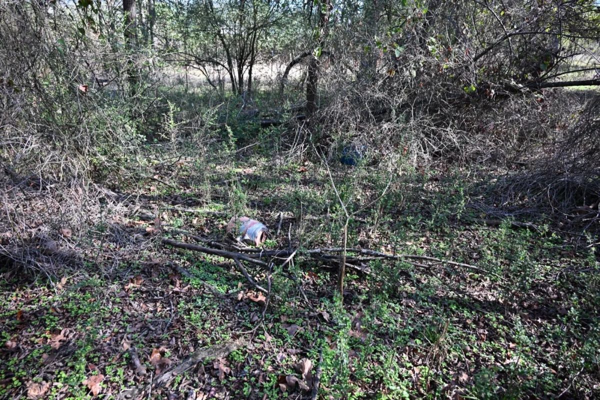 Decorative background for 1.97 Acres with Owner Financing and $1,695 Down in Franklin County, Arkansas image 31