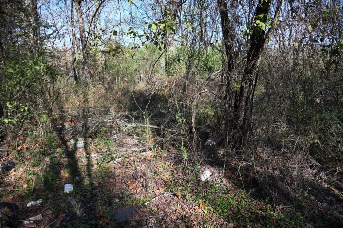Decorative background for 1.97 Acres with Owner Financing and $1,695 Down in Franklin County, Arkansas image 32