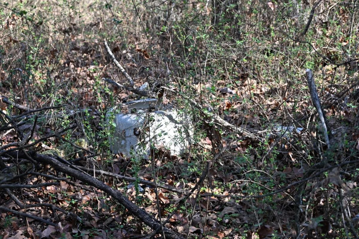 Decorative background for 1.97 Acres with Owner Financing and $1,695 Down in Franklin County, Arkansas image 33