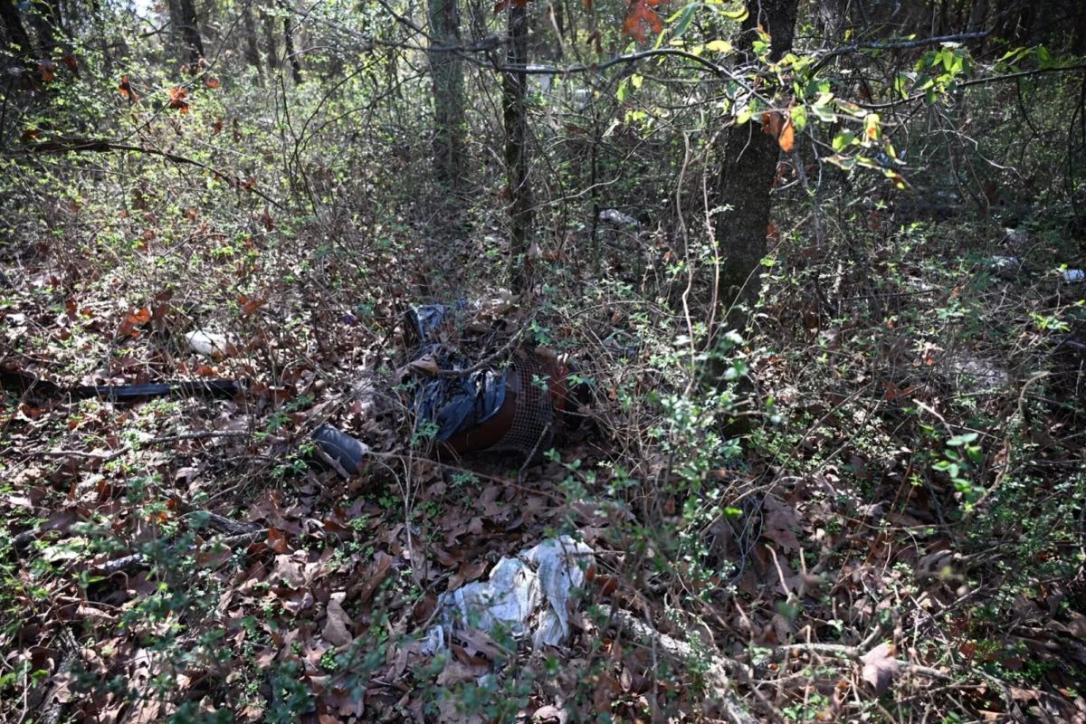 Decorative background for 1.97 Acres with Owner Financing and $1,695 Down in Franklin County, Arkansas image 34
