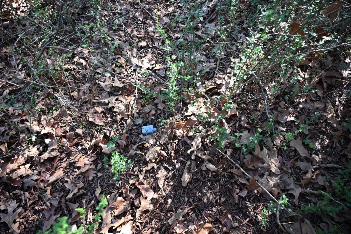 Decorative background for 1.97 Acres with Owner Financing and $1,695 Down in Franklin County, Arkansas image 35