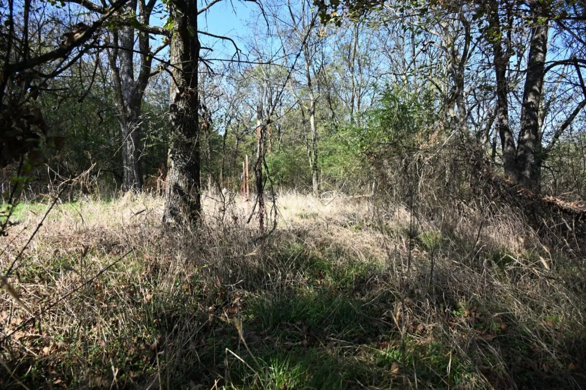 Decorative background for 1.97 Acres with Owner Financing and $1,695 Down in Franklin County, Arkansas image 38