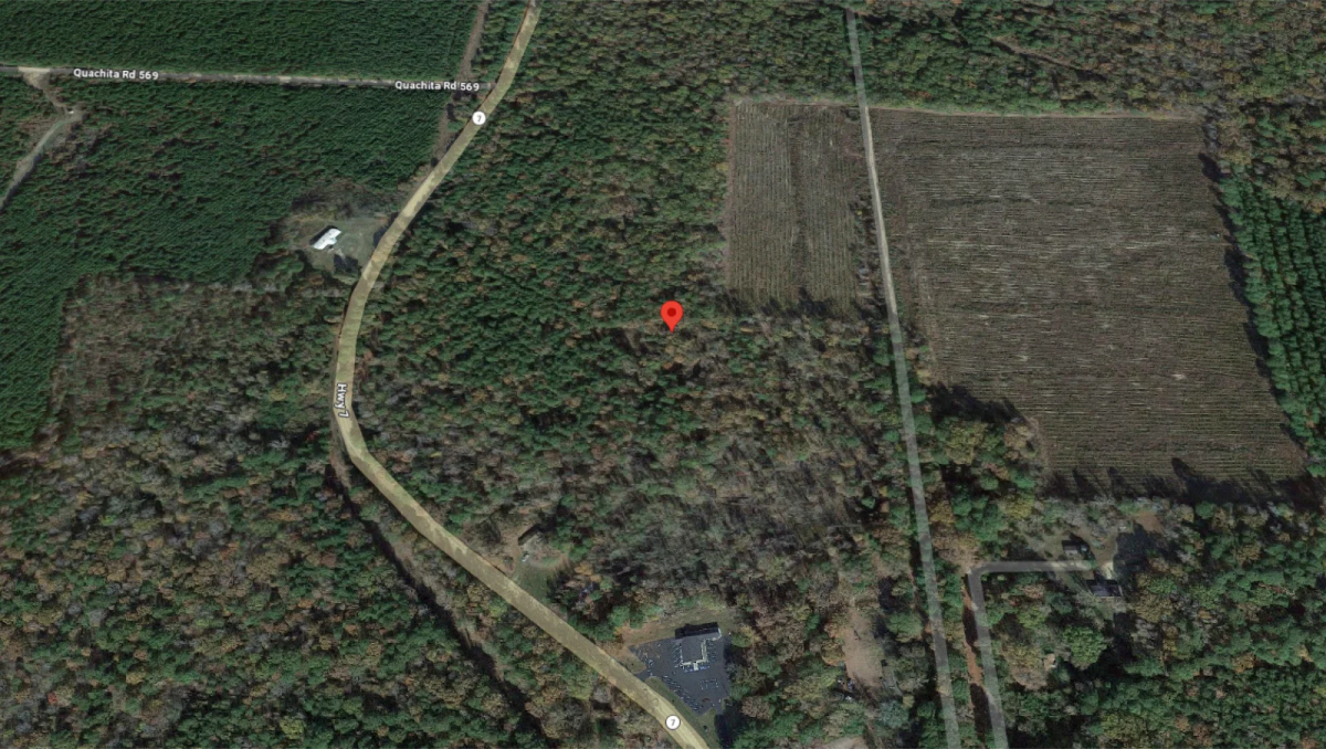 1 Acre with Owner Financing and $125 down in Ouachita County Arkansas! - Main image