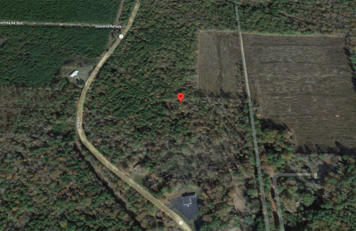 1 Acre with Owner Financing and $125 down in Ouachita County Arkansas!