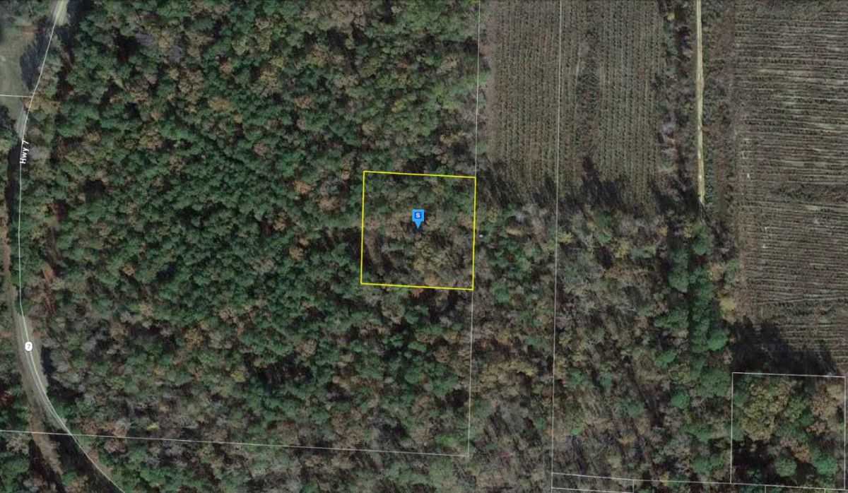 1 Acre with Owner Financing and $125 down in Ouachita County Arkansas! - Image 2