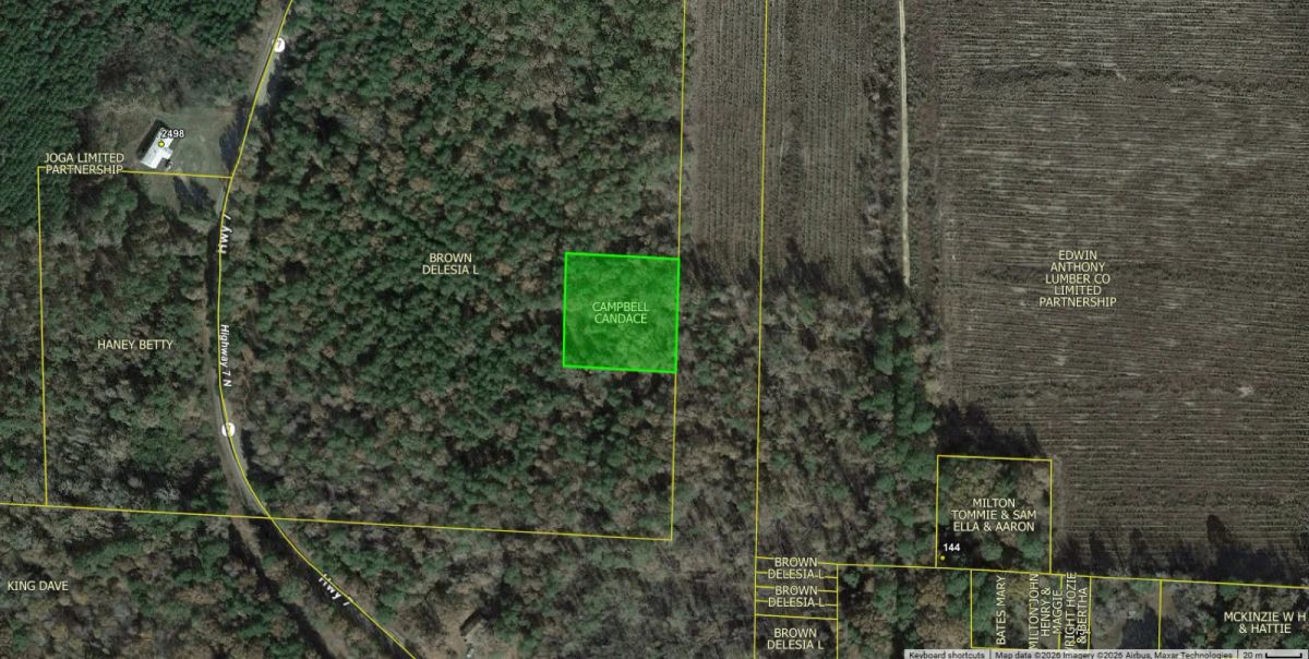 1 Acre with Owner Financing and $125 down in Ouachita County Arkansas! - Image 3