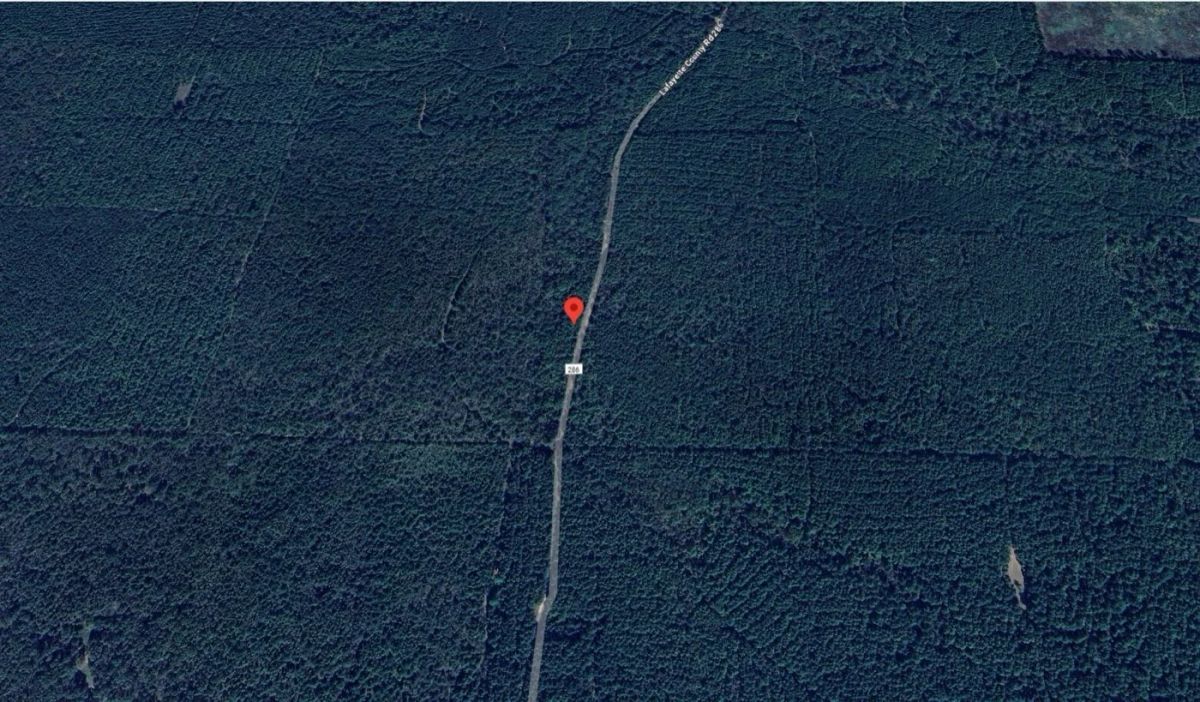 10 Acres For Sale in Lafayette County Arkansas! - Main image