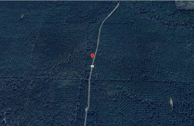 10 Acres For Sale in Lafayette County Arkansas!