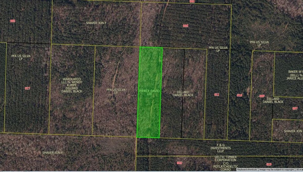 10 Acres For Sale in Lafayette County Arkansas! - Image 2