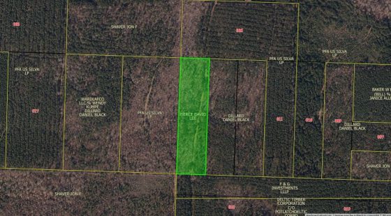 10 Acres For Sale in Lafayette County Arkansas! in Lafayette County, AR