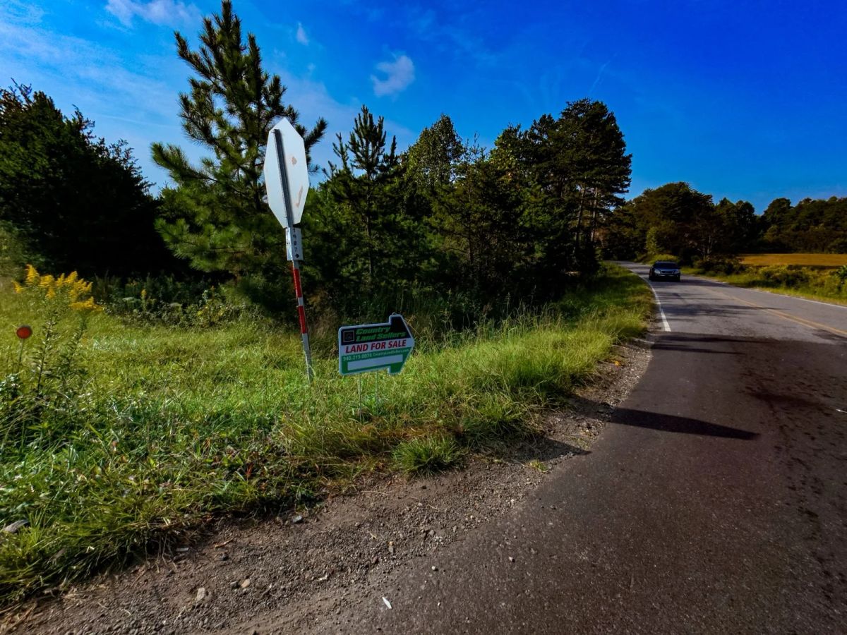 16.66 Acres For Sale in Burke County North Carolina! - Image 3