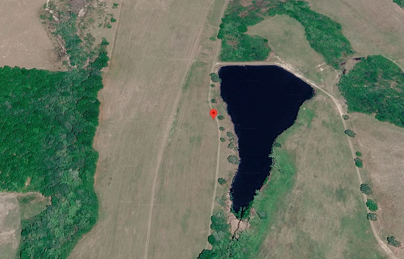 1.5 Acres with Owner Financing and $600 down in Wilcox County Georgia!