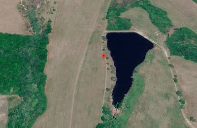 1.5 Acres with Owner Financing and $600 down in Wilcox County Georgia!