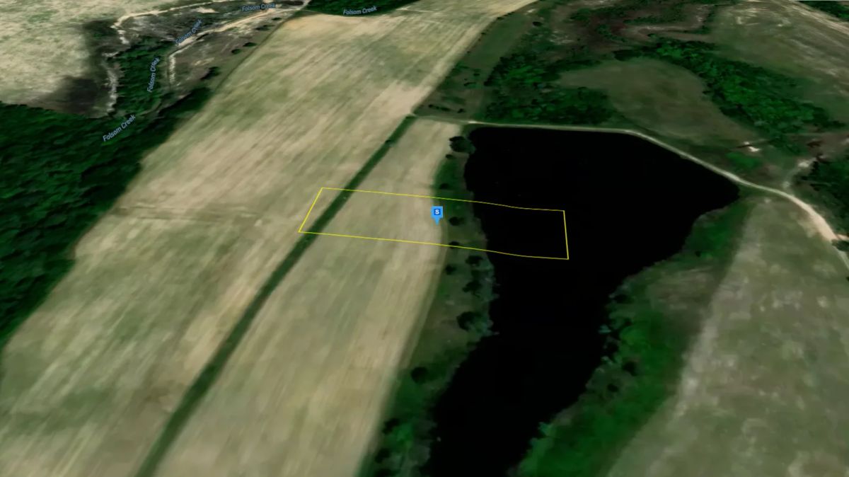 1.5 Acres with Owner Financing and $600 down in Wilcox County Georgia! - Image 3