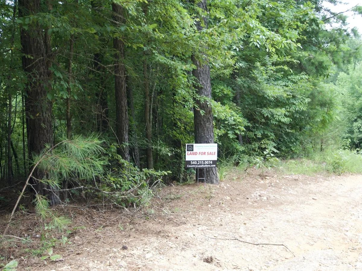5 Acres with Owner Financing and $399 down in Clark County Arkansas! - Main image