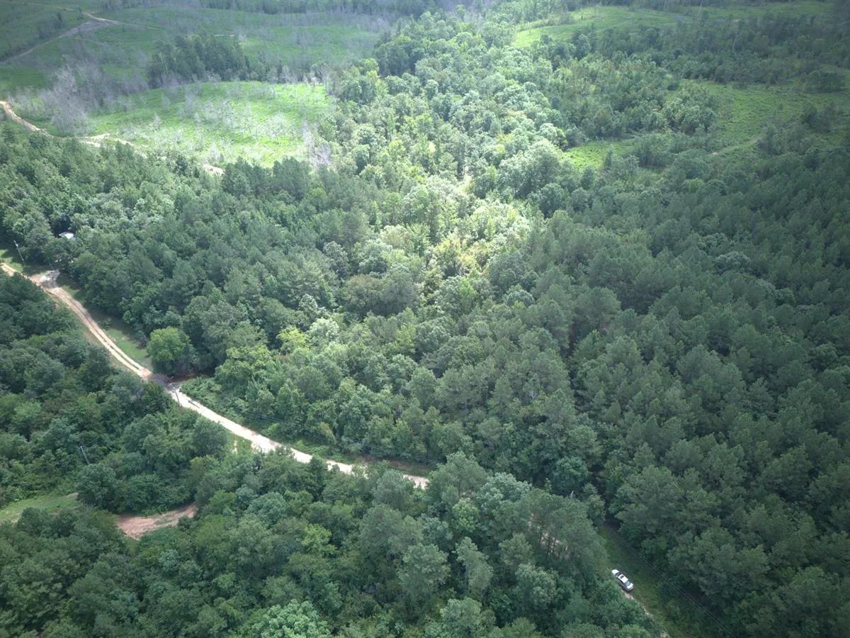 5 Acres with Owner Financing and $399 down in Clark County Arkansas! - Image 2