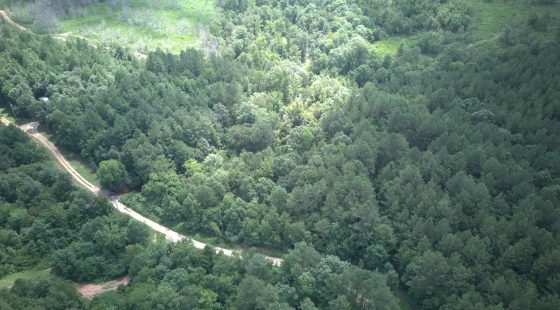 5 Acres with Owner Financing and $399 down in Clark County Arkansas! in Clark County, AR