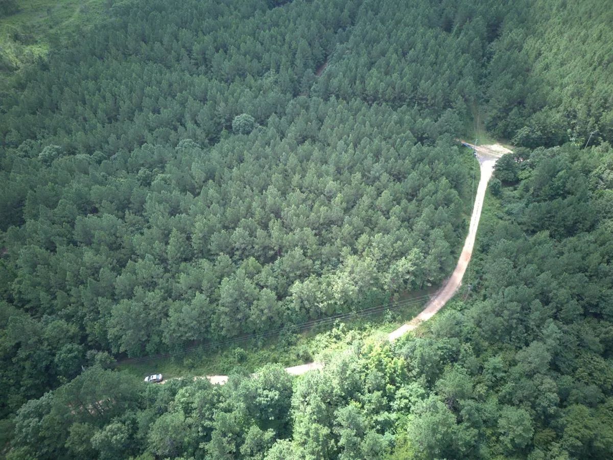 5 Acres with Owner Financing and $399 down in Clark County Arkansas! in Clark County, AR