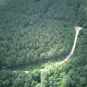 5 Acres with Owner Financing and $399 down in Clark County Arkansas! in Clark County, AR