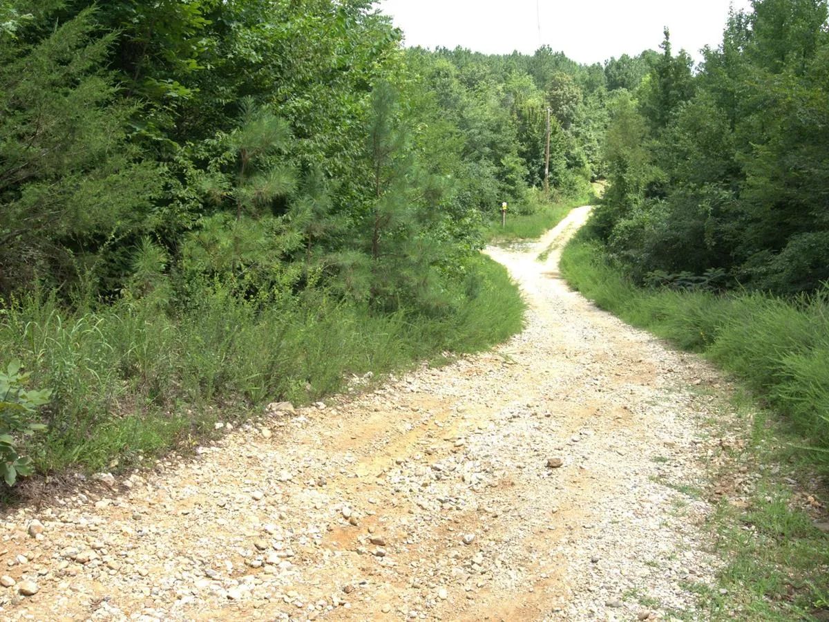 Decorative background for 5 Acres with Owner Financing and $399 down in Clark County Arkansas! image 5