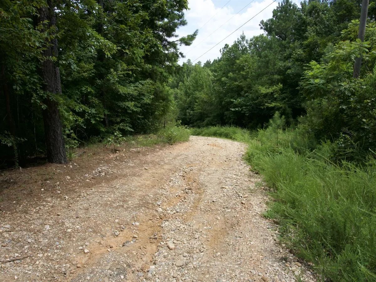 Decorative background for 5 Acres with Owner Financing and $399 down in Clark County Arkansas! image 6
