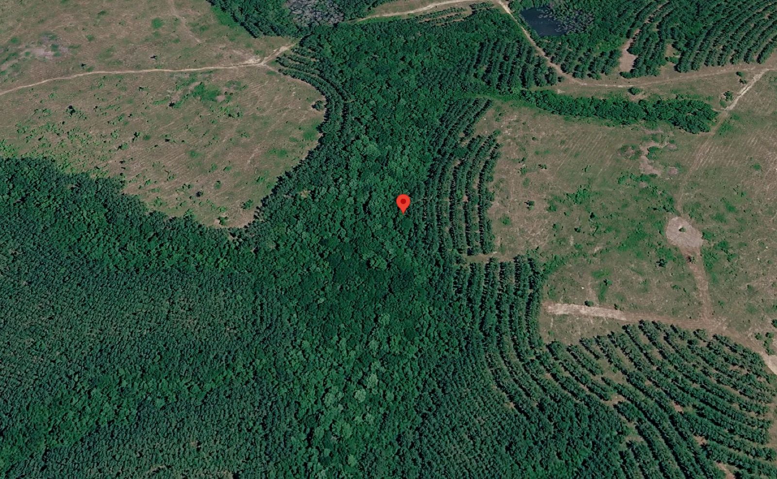 1 Acre with Owner Financing and $600 down in Telfair County Georgia!