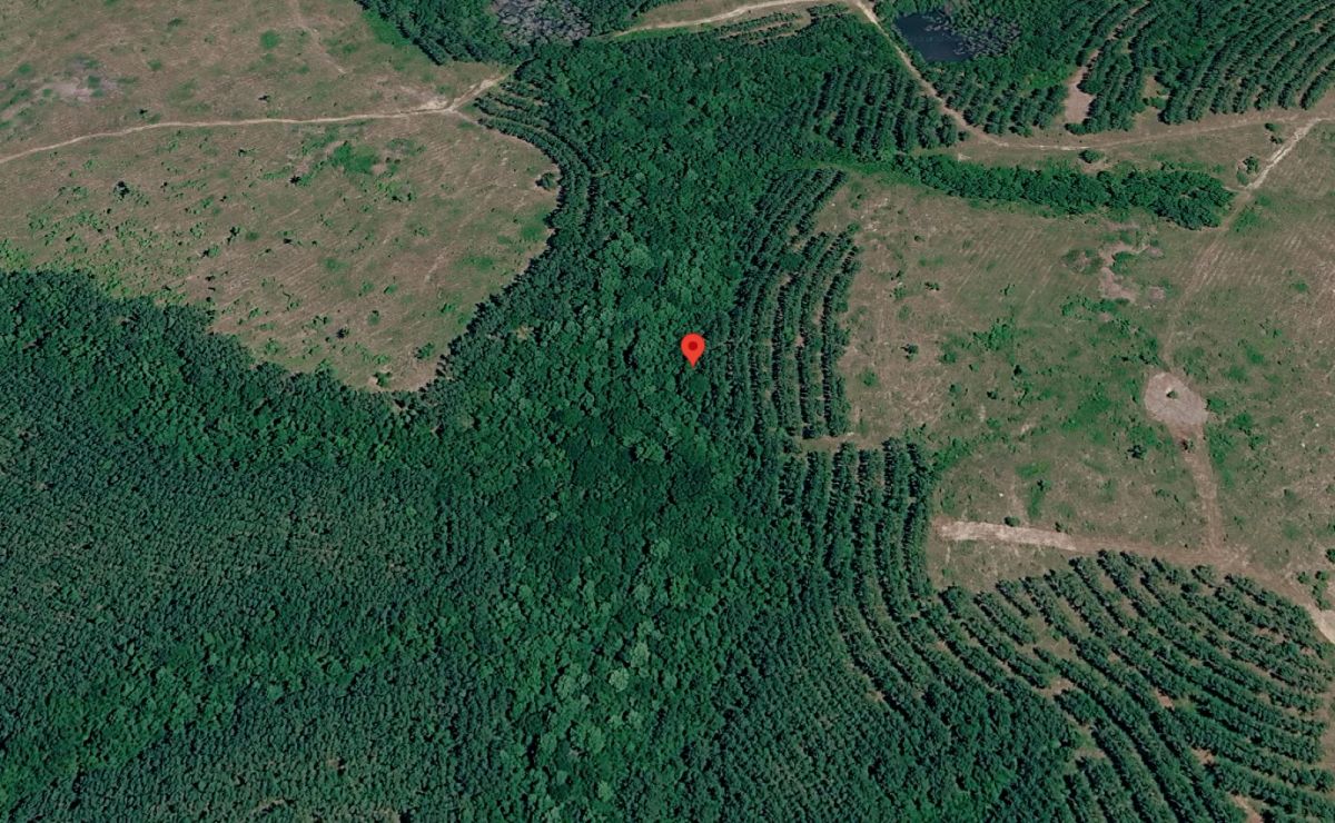 1 Peaceful Wooded Acre in Telfair County, GA — Quiet Harmony Lake Estates, No Zoning & Low Taxes - Main image