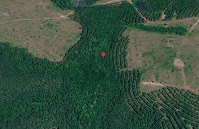 1 Acre with Owner Financing and $600 down in Telfair County Georgia!