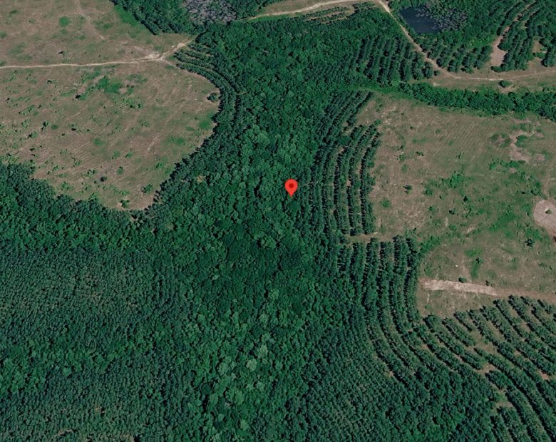 1 Peaceful Wooded Acre in Telfair County, GA — Quiet Harmony Lake Estates, No Zoning & Low Taxes in Telfair County, GA