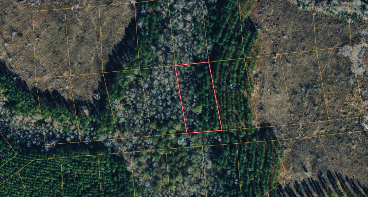 1 Peaceful Wooded Acre in Telfair County, GA — Quiet Harmony Lake Estates, No Zoning & Low Taxes - Image 2