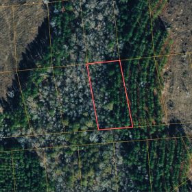 1 Peaceful Wooded Acre in Telfair County, GA — Quiet Harmony Lake Estates, No Zoning & Low Taxes in Telfair County, GA