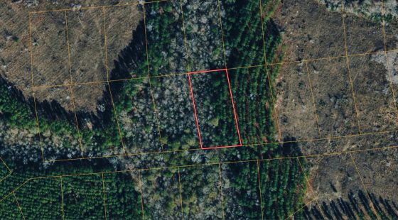 1 Peaceful Wooded Acre in Telfair County, GA — Quiet Harmony Lake Estates, No Zoning & Low Taxes in Telfair County, GA