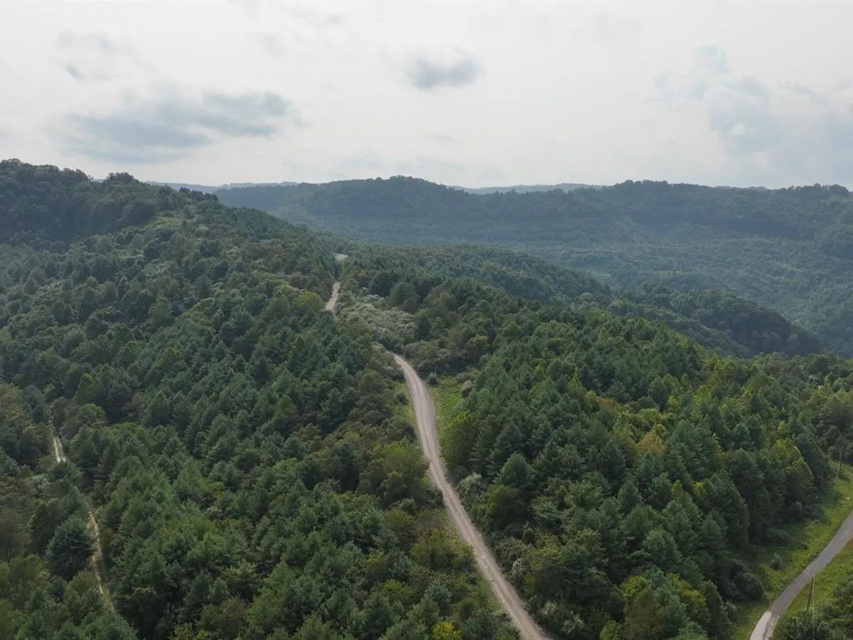 58.109 Acres with Owner Financing and $6,490 down in Russell County Virginia!