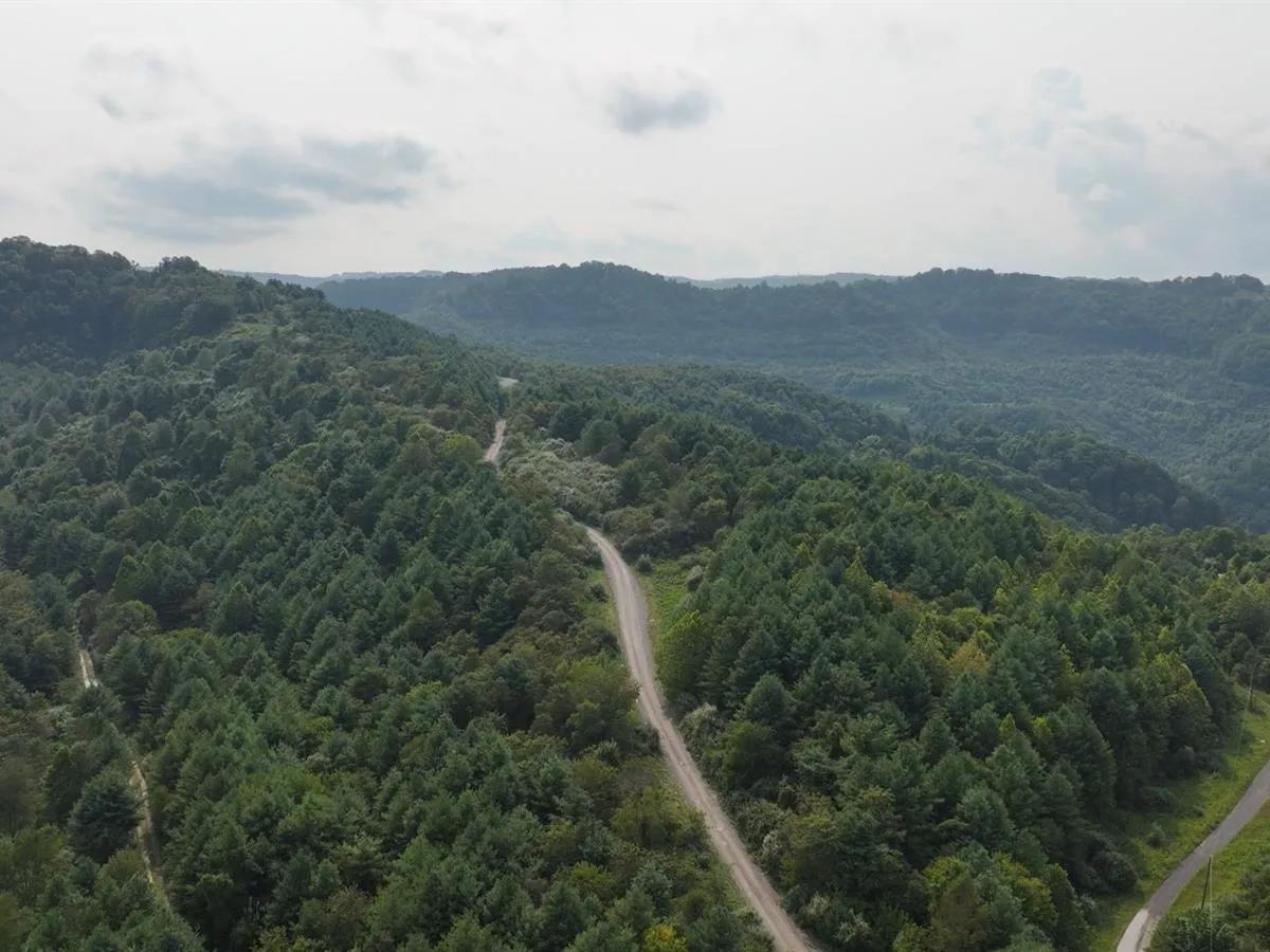 58.109 Acres with Owner Financing and $6,490 down in Russell County Virginia!