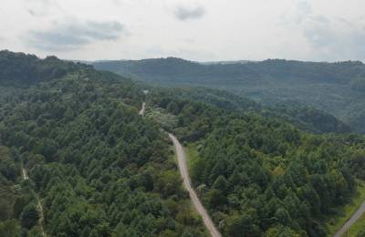 58.109 Acres with Owner Financing and $6,490 down in Russell County Virginia!