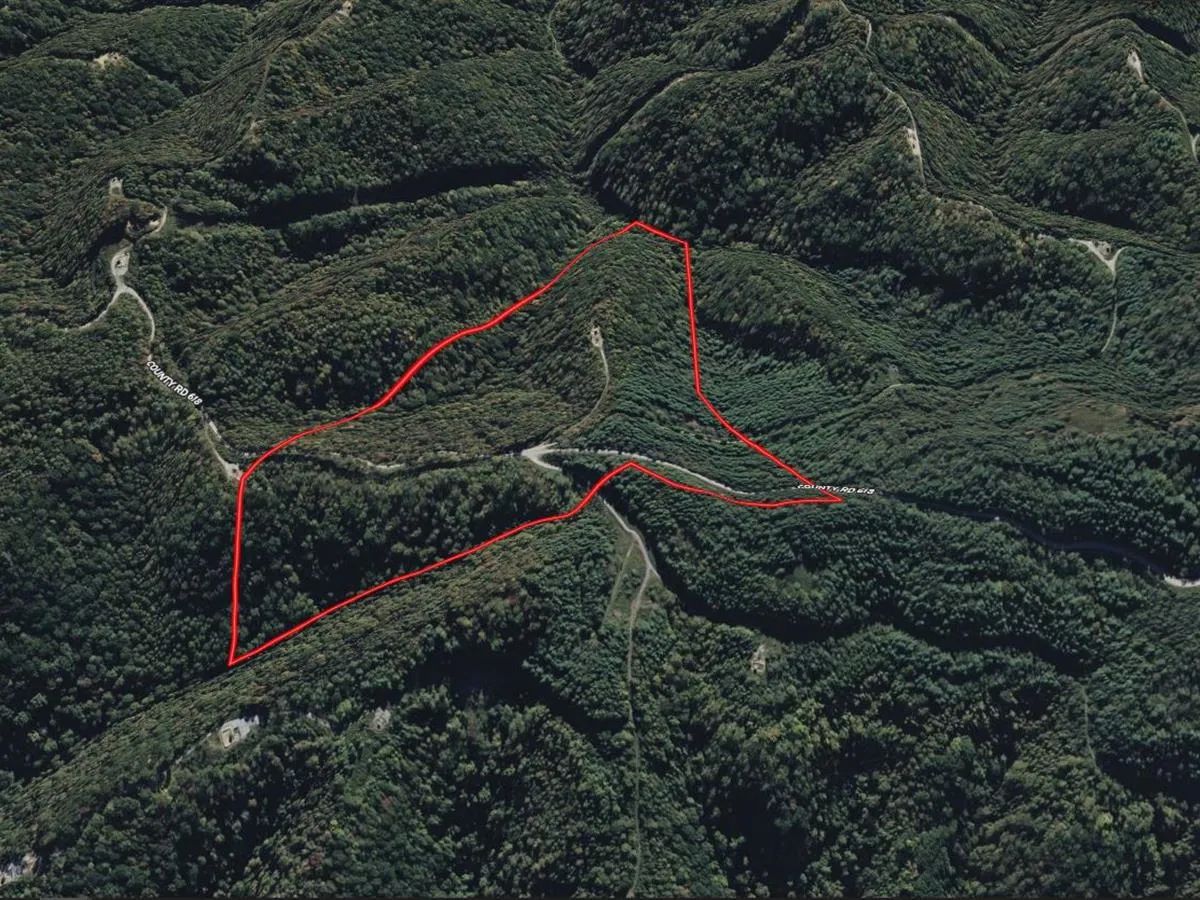 58.109 Acres with Owner Financing and $6,490 down in Russell County Virginia! in Russell County, VA