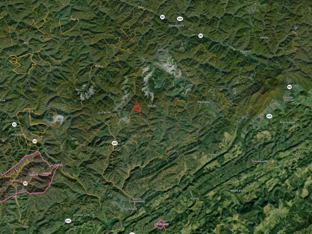 Decorative background for 58.109 Acres with Owner Financing and $6,490 down in Russell County Virginia! image 5