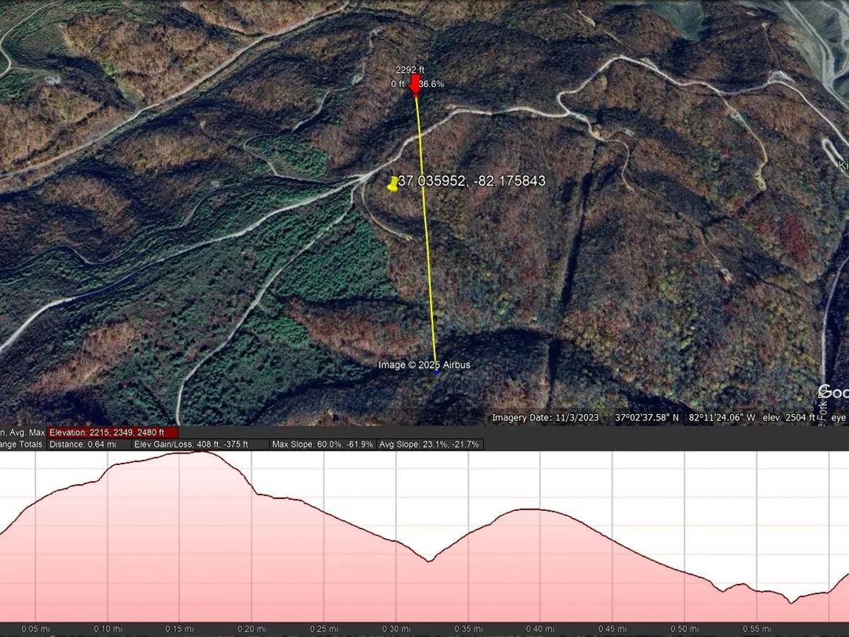 Decorative background for 58.109 Acres with Owner Financing and $6,490 down in Russell County Virginia! image 6