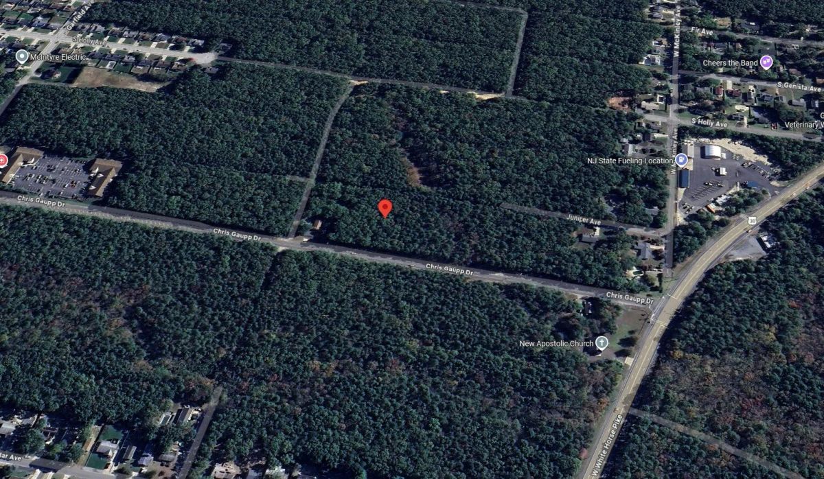 1.16 Acres with Owner Financing and $9,980 down in Atlantic County New Jersey! - Image 2