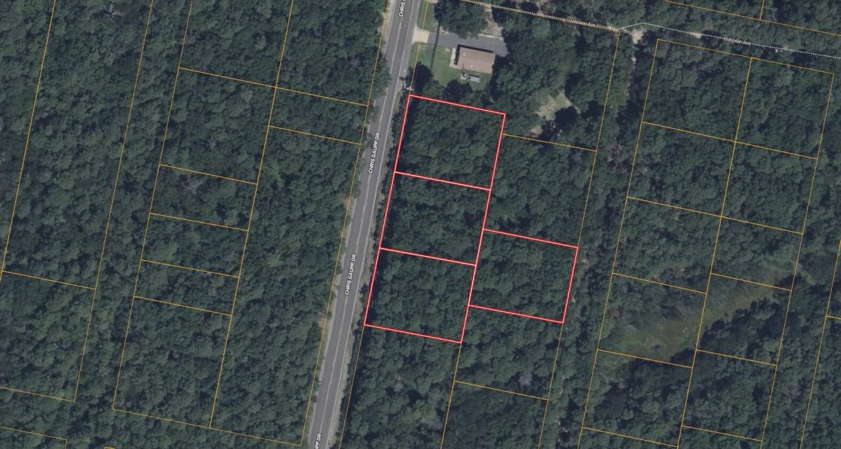 1.16 Acres with Owner Financing and $9,980 down in Atlantic County New Jersey! - Image 3