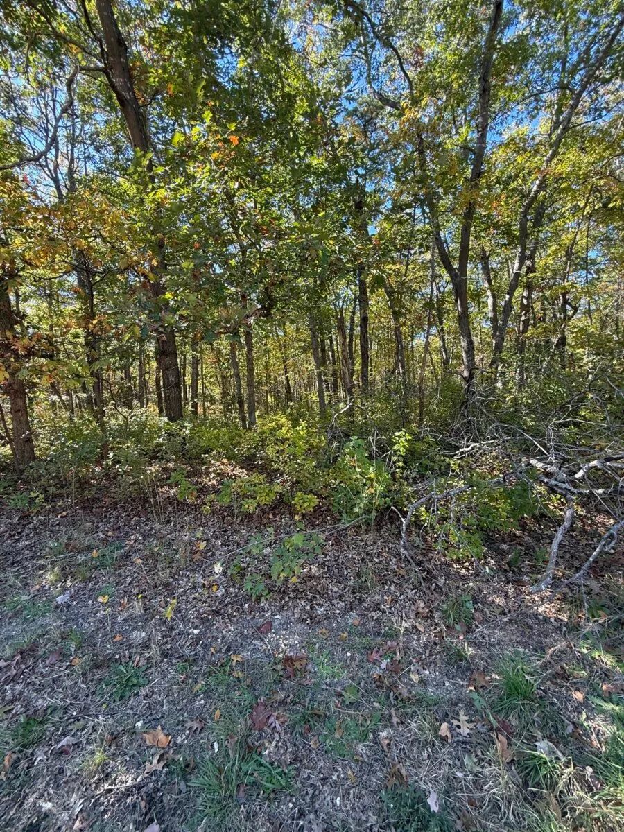 1.16-Acre Galloway Twp, NJ Office Site with Owner Financing and $9,980 Down in Atlantic County, NJ
