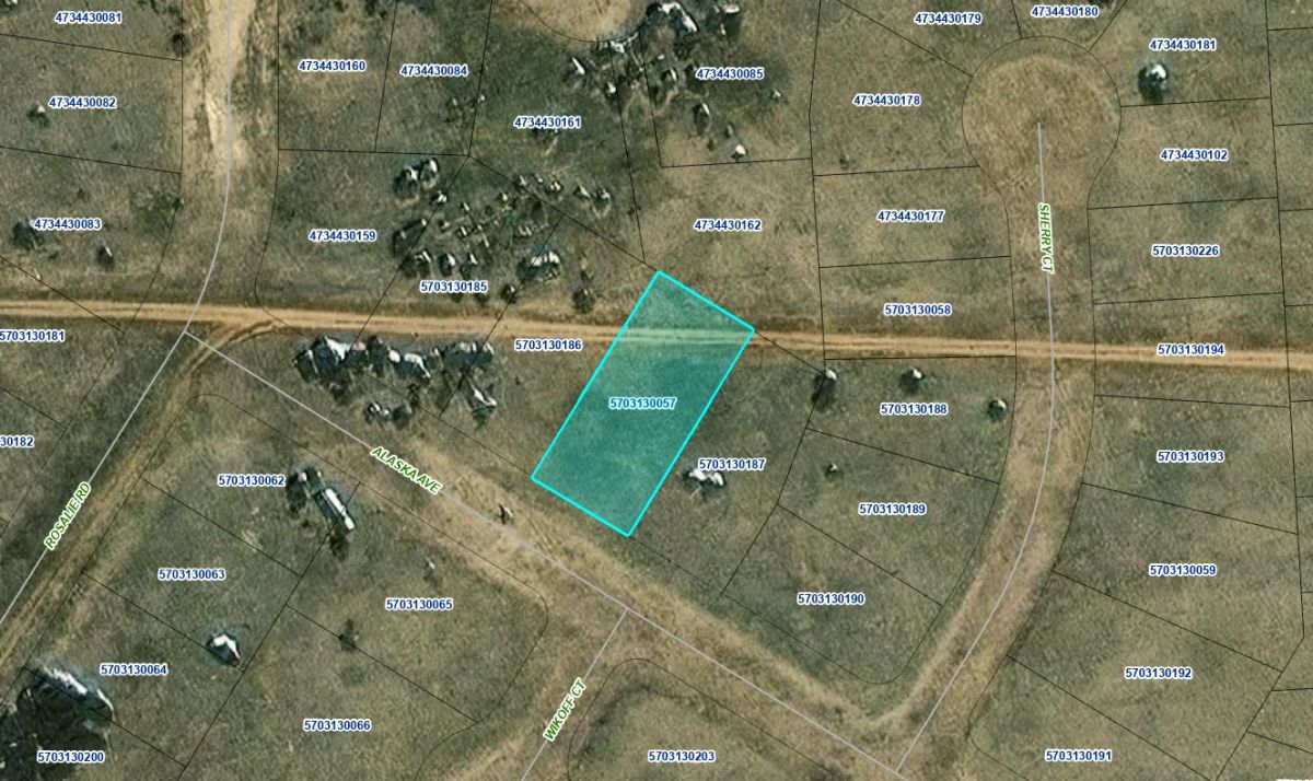 0.25 Acres with Owner Financing and $199.95 Down in Pueblo County, Colorado - Image 3
