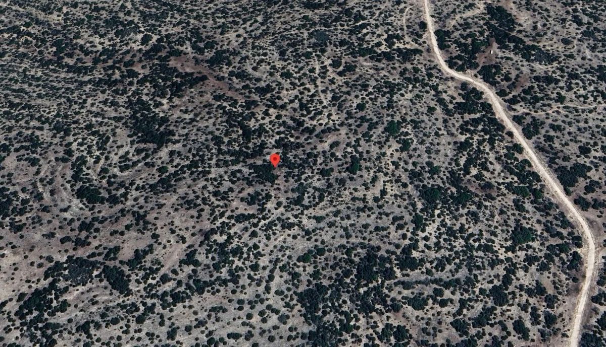 69.77 Acres – Cash Sale in Edwards County Texas! - Main image