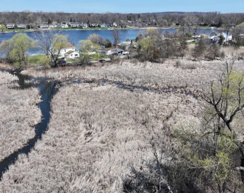 1.17 Acres For Sale in Oakland County Michigan! in Oakland County, MI