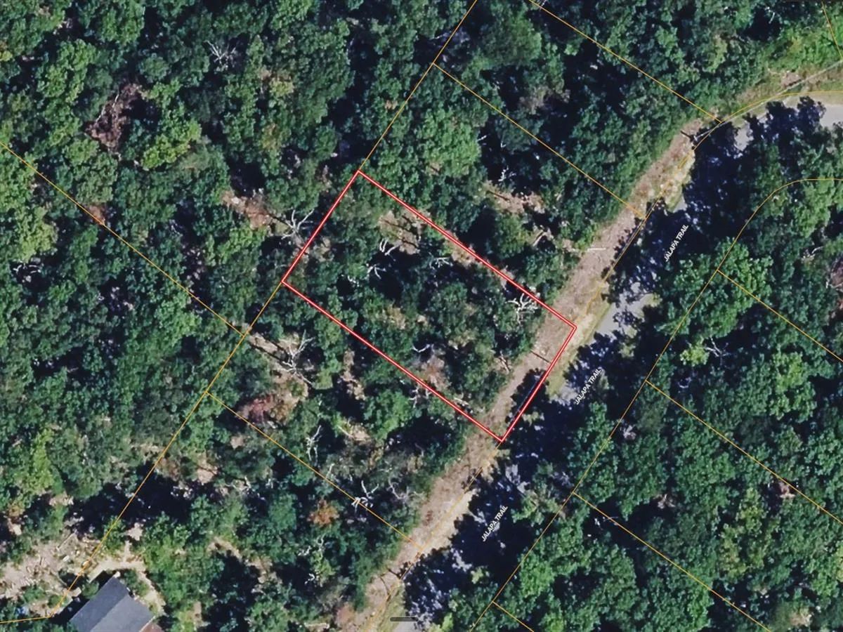 0.27 Acres with Owner Financing and $3,380 down in Frederick County Virginia! - Main image