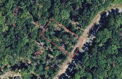 0.27 Acres with Owner Financing and $3,380 down in Frederick County Virginia!