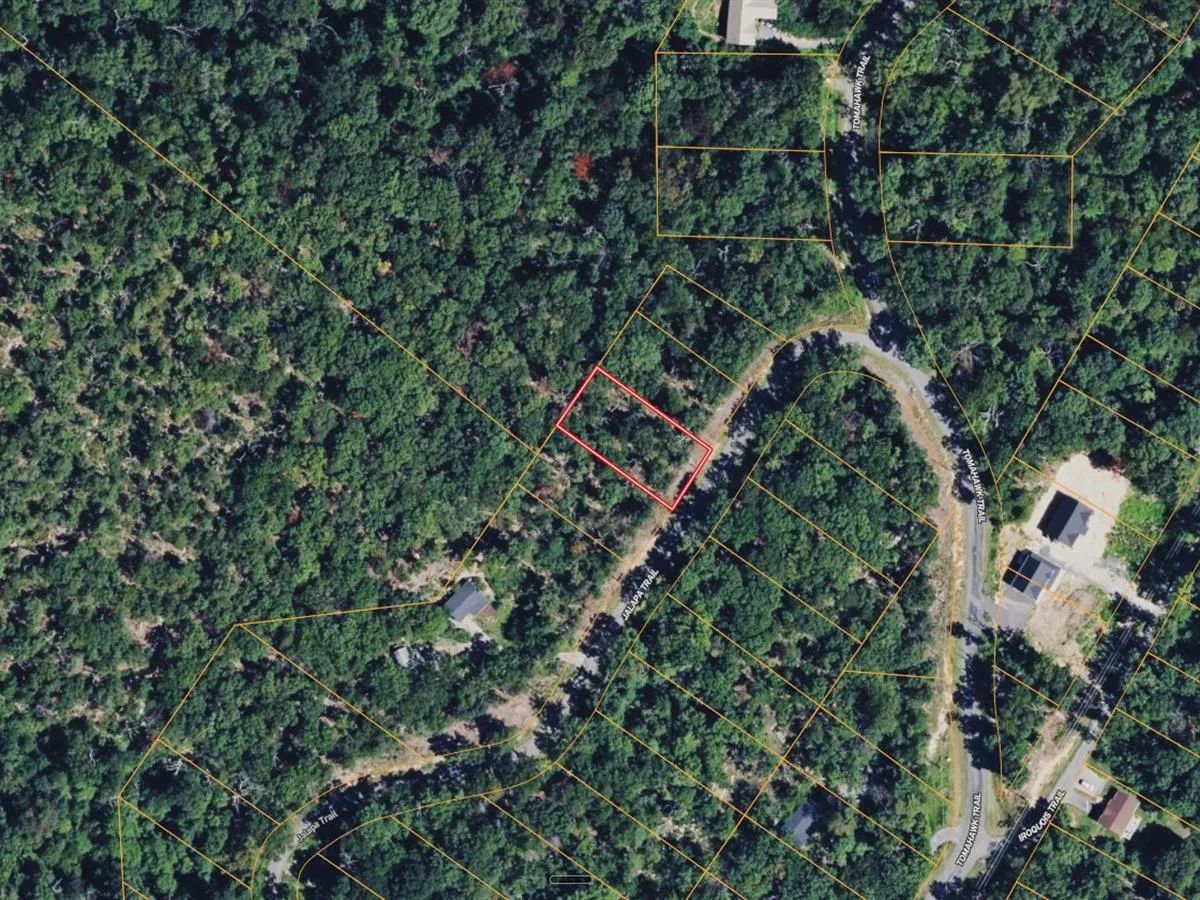 0.27 Acres with Owner Financing and $3,380 down in Frederick County Virginia! - Image 2