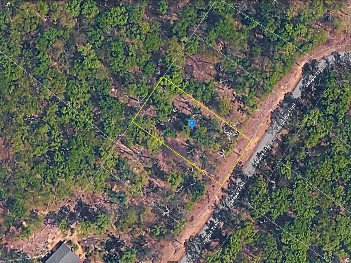 0.27 Acres with Owner Financing and $3,380 down in Frederick County Virginia! - Image 4
